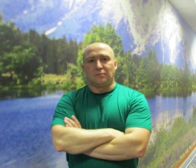 Александр, 43 года, Плесецк