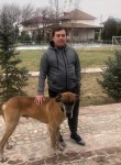 Timur, 37 лет, Toshkent