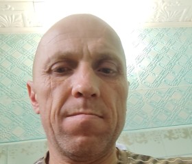 Константин, 44 года, Горно-Алтайск