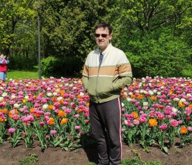 Andrey, 54, Saint Petersburg