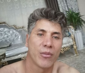 امیر, 40, Amsterdam