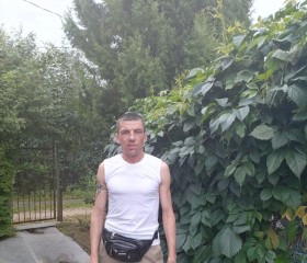 Aleksey, 44, Kaluga