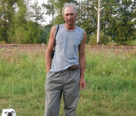 Leonid, 64, Kolpino