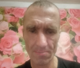 Андрей, 53 года, Киселевск