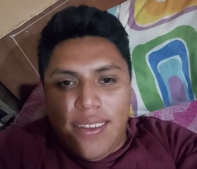 Edgar cux, 27 лет, Nueva Guatemala de la Asunción