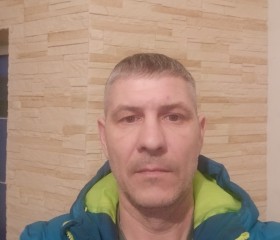Антон, 48 лет, Красноармейск (Московская обл.)