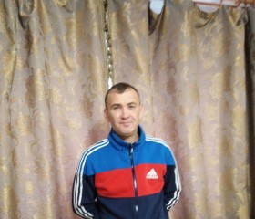 Плаха, 47 лет, Омск