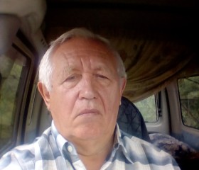Владимир, 74 года, Новокузнецк
