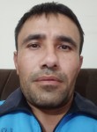 Elyor, 36  , Tashkent