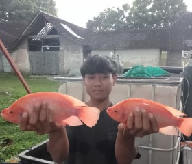 Catur nugroho, 25, Wedi