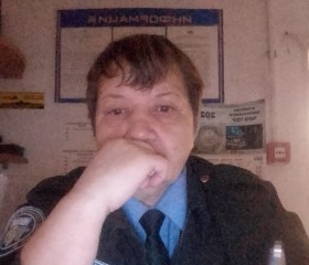 Альбина Шишкина, 52 года, Нижний Тагил