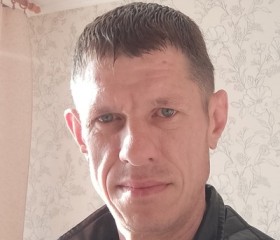 Александр, 44 года, Светогорск