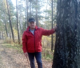 Юрий, 53 года, Северск