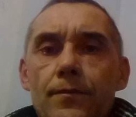 Михаил, 55 лет, Воронеж