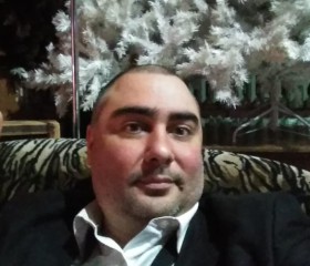 Илья, 42 года, Рязань