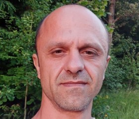 Vadim спирин, 43 года, Магілёў
