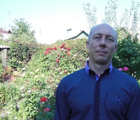 Анатолий, 46 лет, Таганрог