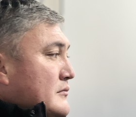 Нурлан, 40 лет, Бишкек