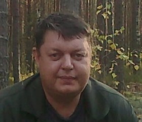 Дмитрий Дубков, 53 года, Шарья