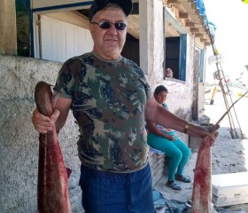 Gilberto, 67 лет, Curitiba
