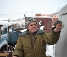 владимир, 72 года, Томск