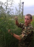 Николай, 35 лет, Саранск