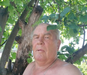 Николай, 72 года, Инжавино