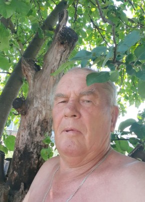 Николай, 72, Россия, Инжавино