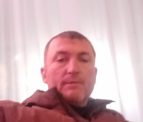 Саид Усмонов, 47 лет, Ноябрьск