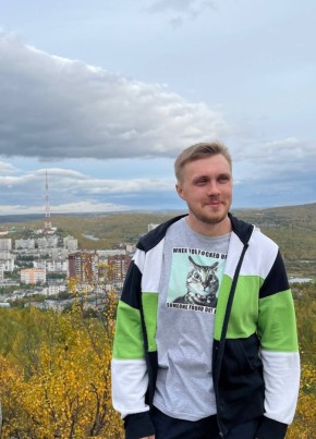 Владислав из Мурманска 29 лет