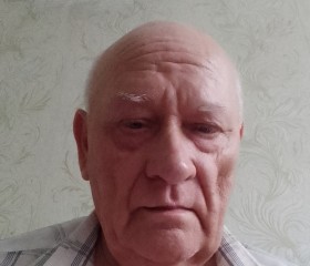 Vladimir, 73, Vesele