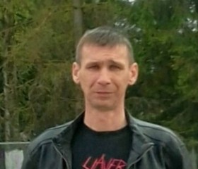 Михаил , 47 лет, Гусев