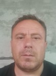 Grigore, 39, Irbid
