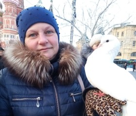 Оксана, 43 года, Липецк
