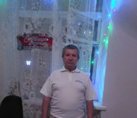 Николай, 67 лет, Верхняя Салда