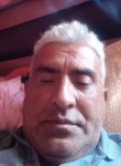 Enrique, 54 года, Santiago de Chile