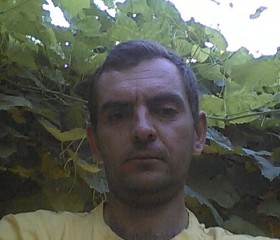Сергей, 46 лет, Ромни