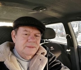 Анатолий, 74 года, Павловский Посад