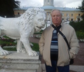 Валентин, 78 лет, Москва