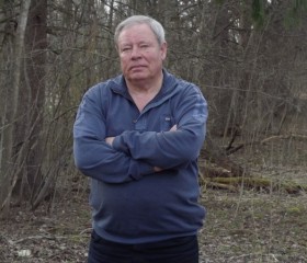 Сергей, 74 года, Псков