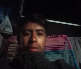 Alfredo modesto, 18, Acapulco de Juarez