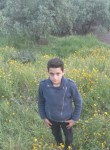 Amr, 18  , Hebron