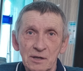 Nikolay, 65, Nizhnyaya Tura