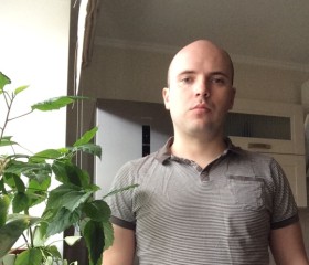 Богдан, 39 лет, Вишгород