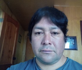 Alejandro, 32 года, Concepción