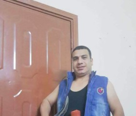 Saher Mostafa, 39 лет, كفر الدوار
