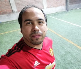 Mario, 39 лет, Los Andes