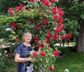 Tatyana, 70, Tel Aviv