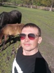 Алексей, 39 лет, Белгород