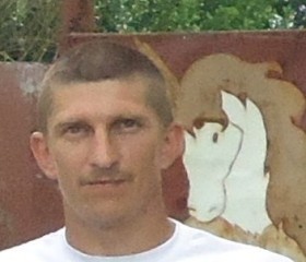Сергей, 40 лет, Чернянка
